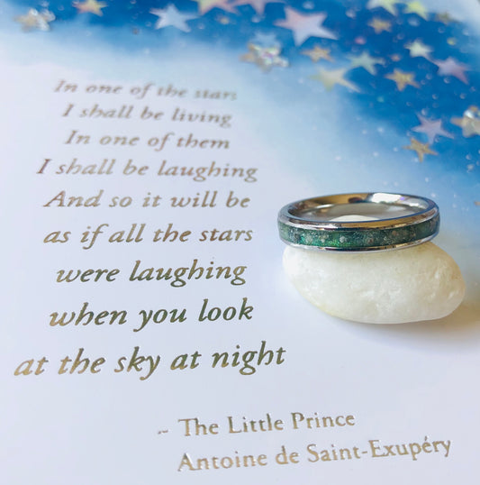 Robin Ring - Sterling Silver Full Channel Set Ring
